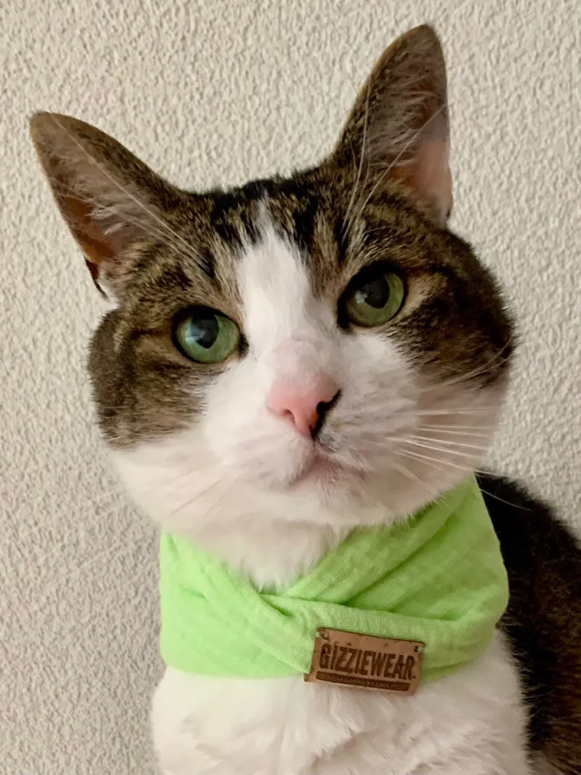 Green pet scarf